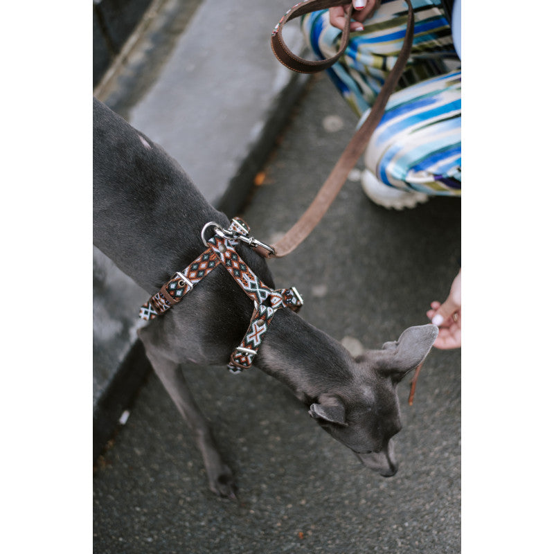 Harnais - Tulum - photo 3