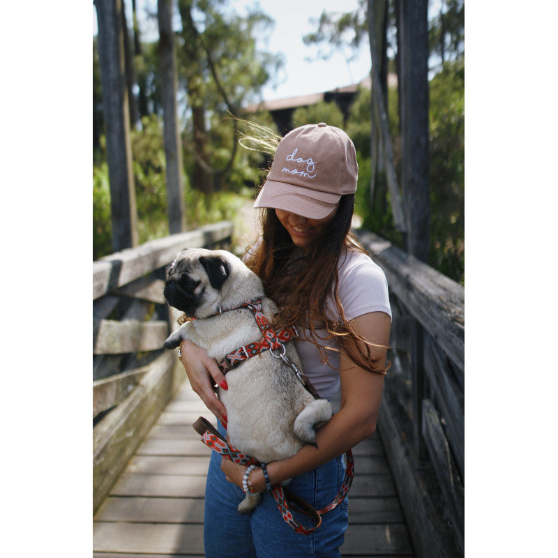 Harnais - Mazunte - photo 2