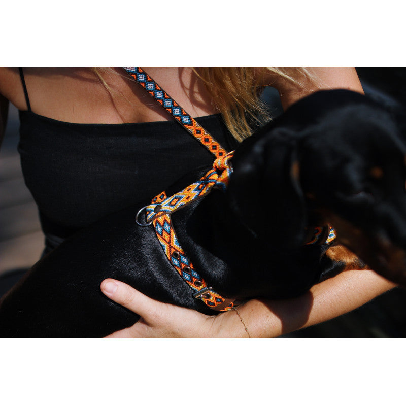 Harnais - Acapulco - photo 4