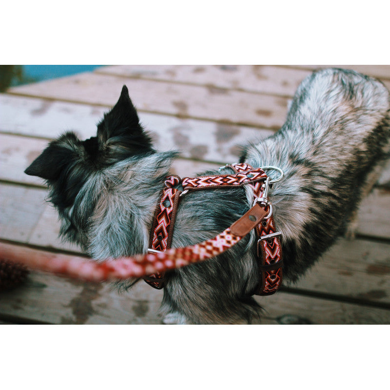 Harnais - Sayulita - photo 3