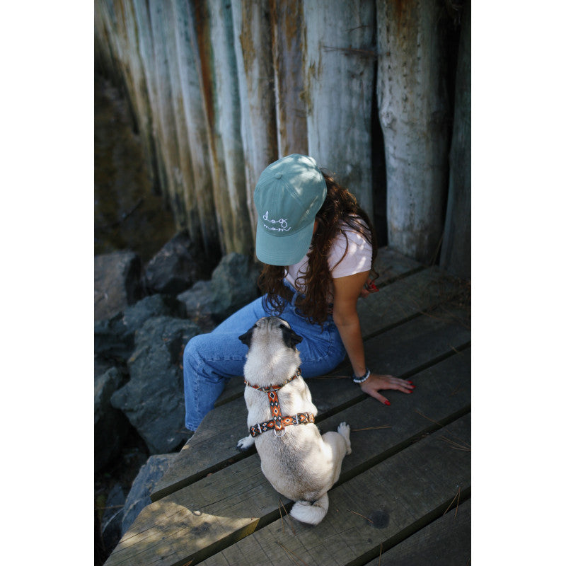 Harnais - Guanajuato - photo 4