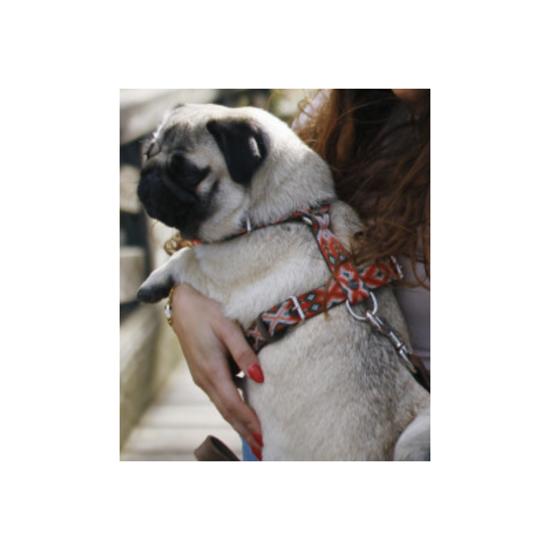 Harnais - Mazunte - photo 3