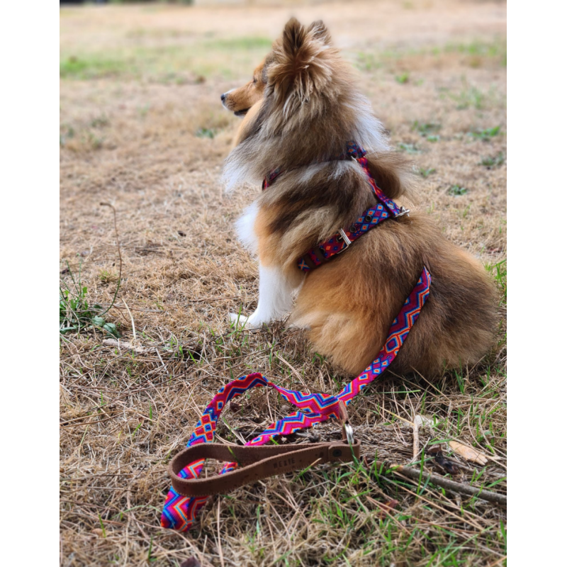 Harnais - Merida - photo 3