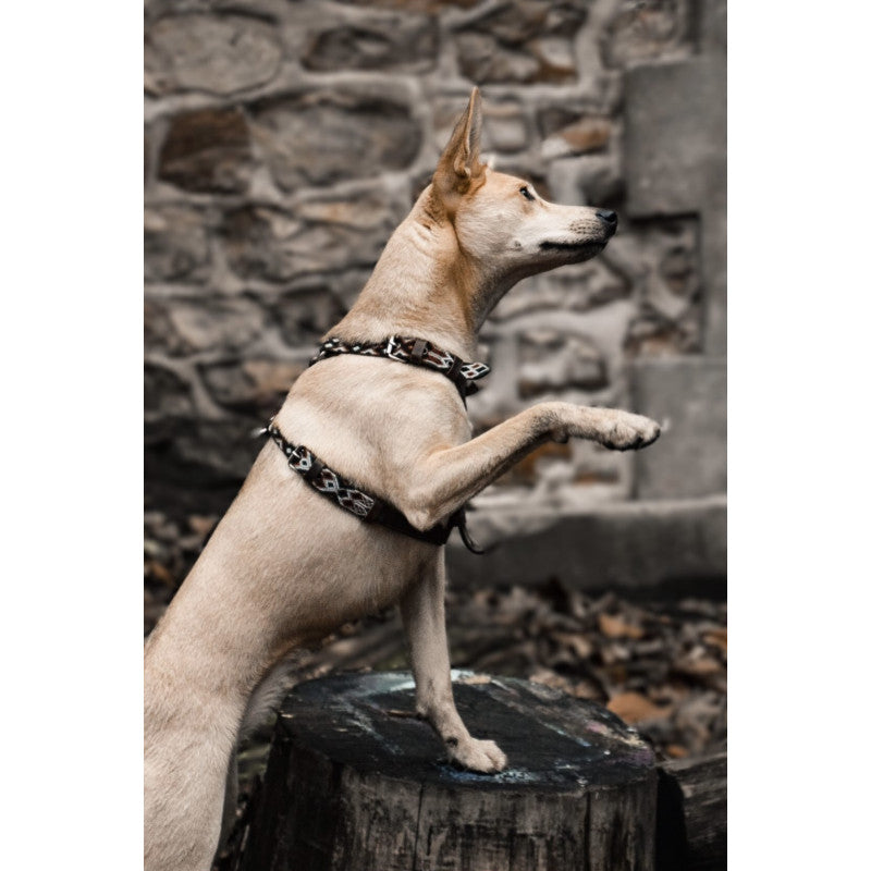 Harnais - Tulum - photo 2