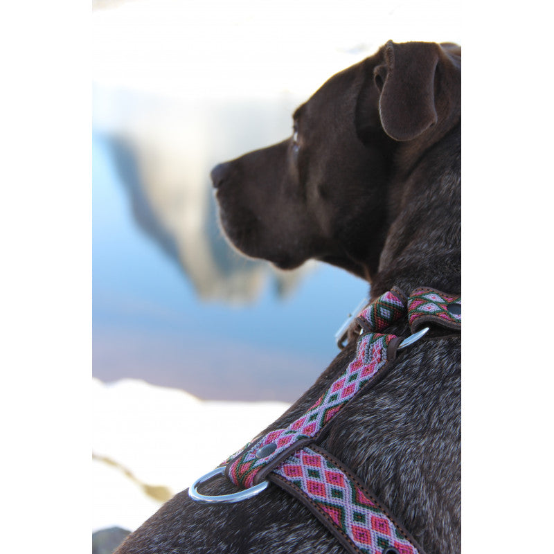 Harnais - Campêche - photo 2