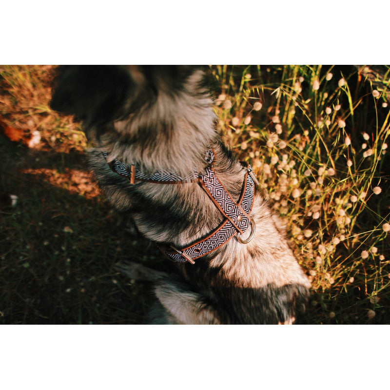 Harnais - Puebla - photo 3