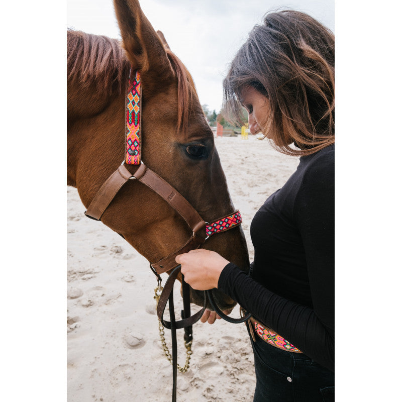 Licol - Todos santos