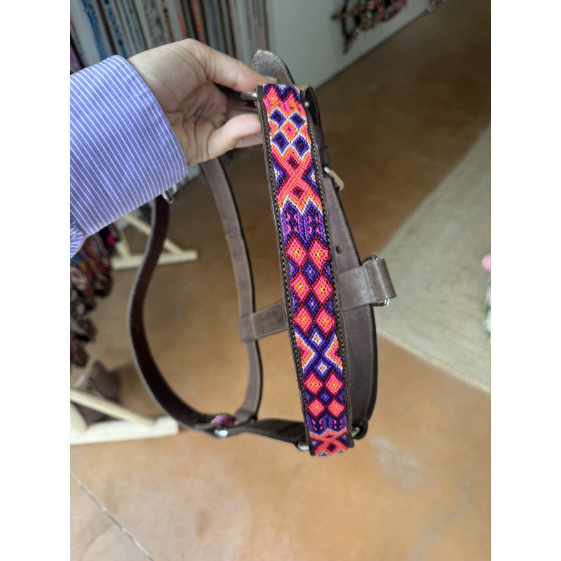 Licol - Rio lagartos