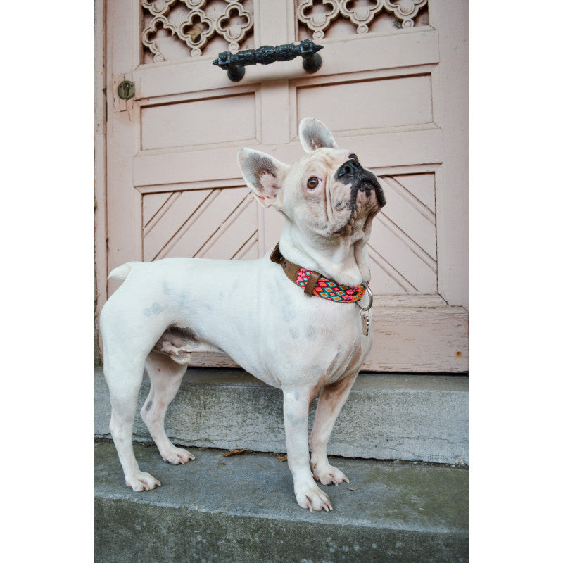 Médaille frida pour chien - photo 4