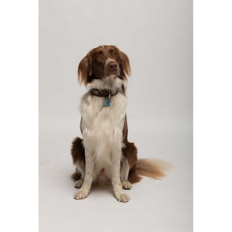 Médaille vague pour chien - photo 4
