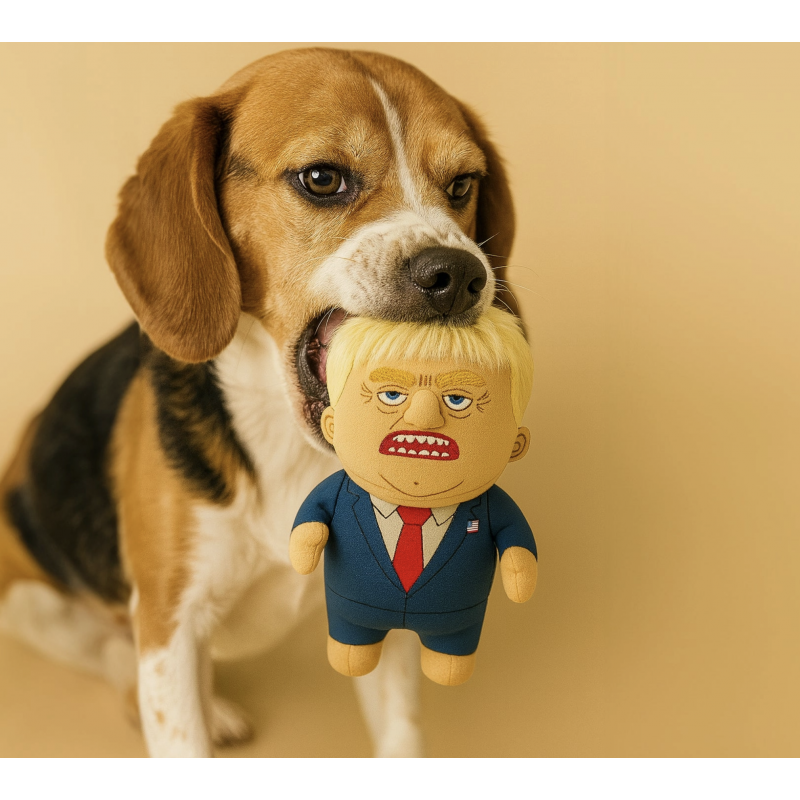 Trump - Le roi du blabla